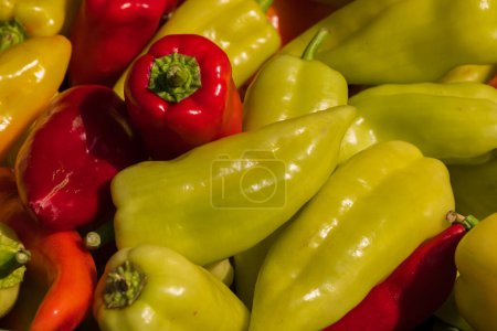 Healthy vegetables. Sweet colorful bell pepper on the market counter for sale.
