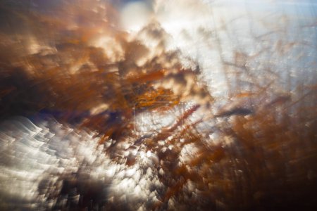 Abstract photo images of nature. Photo with an old manual lens with the lens turned.