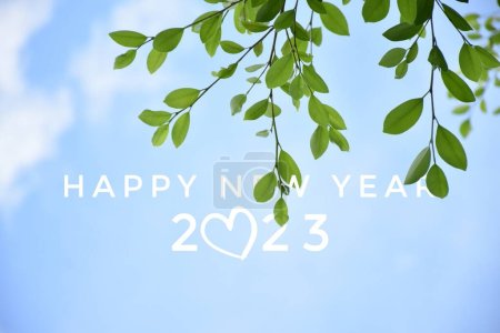 'HAPPY NEW YEAR 2023' in green color with ficus branches and leaves background, concept for greeting invitation card and happy new year 2023, happy life.