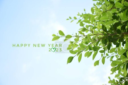 'HAPPY NEW YEAR 2023' in green color with ficus branches and leaves background, concept for greeting invitation card and happy new year 2023, happy life.