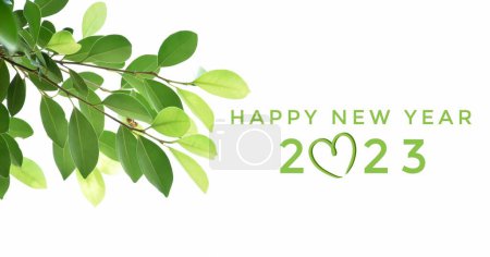 Foto de 'FELIZ AÑO NUEVO 2023' en color verde con ramas de ficus y hojas de fondo, concepto de tarjeta de invitación de saludo y feliz año nuevo 2023 concepto. - Imagen libre de derechos
