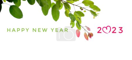 Foto de 'FELIZ AÑO NUEVO 2023' en colores verde y rosa con ramas de colores y hojas de fondo, concepto de tarjeta de invitación de saludo y feliz año nuevo 2023 concepto. - Imagen libre de derechos