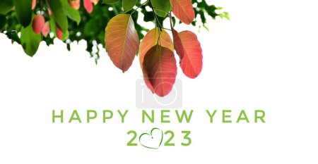Foto de 'FELIZ AÑO NUEVO 2023' en colores verde y rosa con ramas de colores y hojas de fondo, concepto de tarjeta de invitación de saludo y feliz año nuevo 2023 concepto. - Imagen libre de derechos