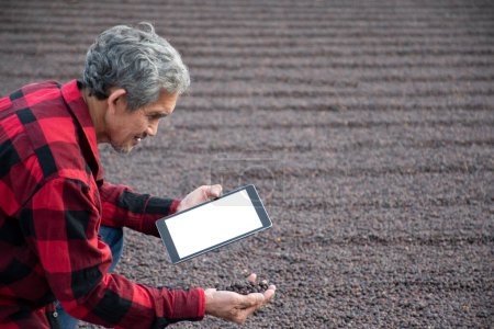 Photo for Elderly coffee owner in red and black shirt holds coffee beans that he has dried on the floor in his right hand and compares quality of beans in his tablet in his left hand. - Royalty Free Image