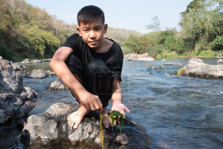 Téléchargez les photos : Asian schoolboy holding freshwater algae from diving into the river and pulling it up to study the fertility of the river's nature and including to do freshwater algae in his environment project work. - en image libre de droit