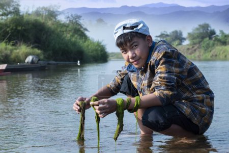Photo for Asian boy in a plaid shirt wearing a cap holds freshwater algae that he plucks from a river in the area of his village to study the river's cleanliness, ecosystem, ecoeffect and pesticide effect. - Royalty Free Image