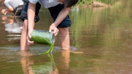 Foto de Chicos asiáticos sostienen algas de agua dulce o spirogyra, spironina que está gruñendo en el río local que flotando desde la montaña cercana para estudiar el ecosistema y para observar la torpeza del agua en el río. - Imagen libre de derechos