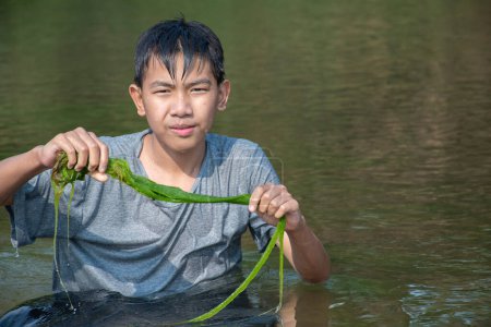 Foto de Chicos asiáticos sostienen algas de agua dulce o spirogyra, spironina que está gruñendo en el río local que flotando desde la montaña cercana para estudiar el ecosistema y para observar la torpeza del agua en el río. - Imagen libre de derechos