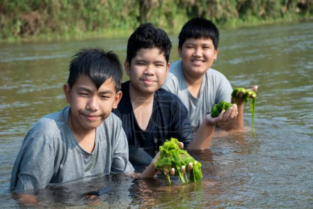 Photo for Asian boys hold freshwater algae or spirogyra, spironina which is grawing in local river which floading from the mountain nearby to study ecosystem and to observe the clanliness of water in the river. - Royalty Free Image