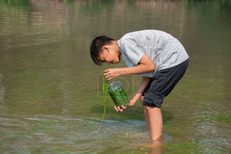 Photo for Asian boys hold freshwater algae that grows naturally in a river. Idea for studying nature, environmental conservation and observed the effect of higher temperature on the growth of underwater plants. - Royalty Free Image
