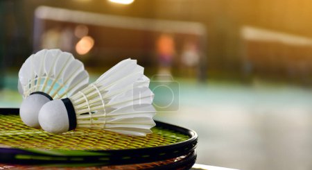 Téléchargez les photos : Navette de badminton blanc crème et raquette sur le sol dans le terrain de badminton intérieur, espace de copie, accent doux et sélectif sur les navettes. - en image libre de droit