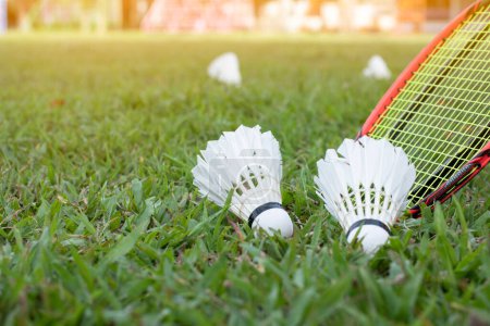 Photo for Badminton outdoor sport equipments, rackets and shuttlecocks, on grass, soft and selective focus, concept for healthy sport and recreational activity. - Royalty Free Image