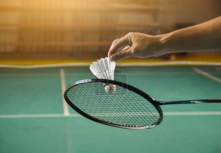 Téléchargez les photos : Le joueur de badminton tient une raquette blanche de badminton et une raquette de badminton devant le filet avant de le servir sur le filet vers un autre côté du terrain de badminton. Concentration douce et élective. - en image libre de droit