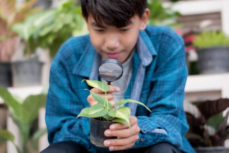 Asiatischer Schüler studiert am Wochenende Blumen und Pflanzen in seinem Haus mit einer Mini-Lupe, weicher Fokus.