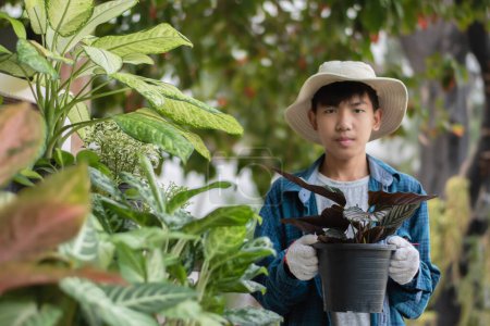Asiatische süße Junge hält Topfpflanzen und kümmert sich um sie zu Hause, weich und selektiv Fokus.