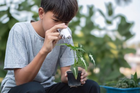 Asiatischer netter Schuljunge hält ein tragbares Mini-Mikroskop in der Hand und betrachtet die kleinen Details der Topfpflanze zum Lernen und Entspannen durch die Linse, weicher und selektiver Fokus.