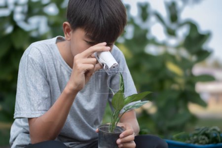 Asiatischer netter Schuljunge hält ein tragbares Mini-Mikroskop in der Hand und betrachtet die kleinen Details der Topfpflanze zum Lernen und Entspannen durch die Linse, weicher und selektiver Fokus.