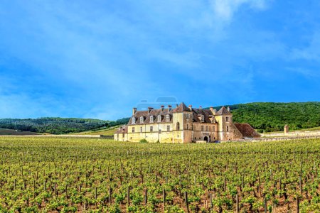 Región de Borgoña, departamento de Costa de Oro, Francia. Clos de Vougeot viñedos y castillo en Vougeot. Clase Grand Cru.
