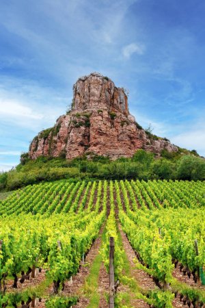 Téléchargez les photos : La Roche de Solutre avec vignobles, Bourgogne, France - en image libre de droit