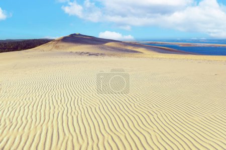Foto de La Duna de Pilat, también conocida como la Gran Duna de Pilat, es la duna de arena más alta de Europa. Se encuentra en La Teste-de-Buch, en la cuenca del Arcachon en Francia, a 60 km al suroeste de Burdeos, a lo largo de la costa atlántica francesa.. - Imagen libre de derechos