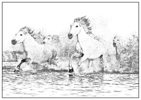 Foto de Dibujo a lápiz de caballos corriendo en el agua - Imagen libre de derechos