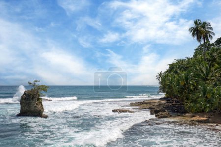 Foto de La playa celestial de Manzanillo. Reserva Natural Gandoca-Manzanillo. Costa Rica - Imagen libre de derechos
