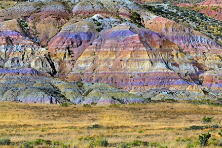 Fossil Butte National Monument, Lincoln County, Wyoming. USA