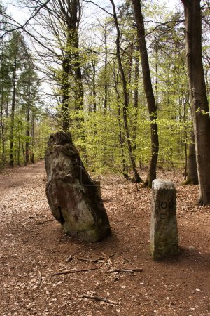 Photo for Hinkelstein monument next to a walking path on a spring day in the Palatinate Forest of Germany. - Royalty Free Image