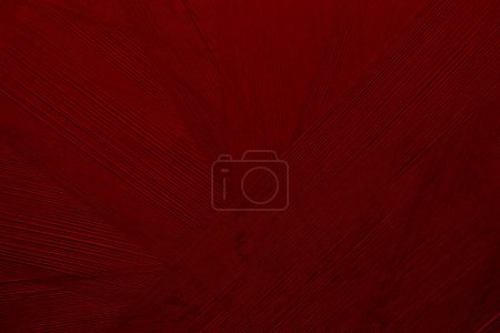 Crimson red abstract plastic foil background with 3d effect and bubbles