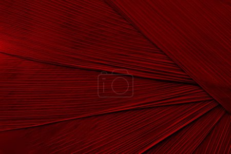Crimson red abstract plastic foil background
