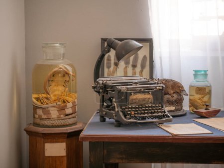 Foto de Oficina vintage de zoólogo explorador científico con retro máquina de escribir y cobra serpiente y otros animales en un frasco de formalina - Imagen libre de derechos