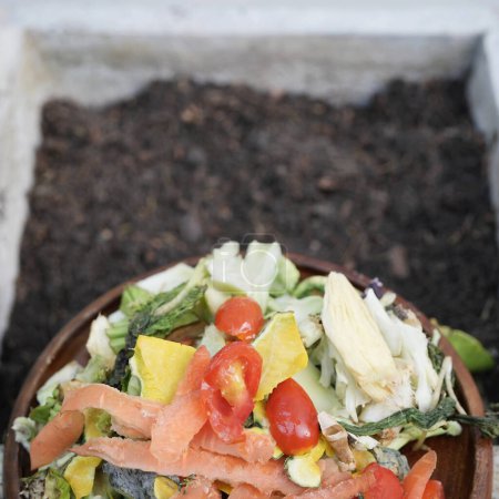 Foto de Restos de alimentos como compost sostenibilidad estilo de vida Los desechos vegetales se utilizan como fertilizante para el cultivo - Imagen libre de derechos