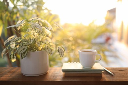 Coffee cup and notebook and Angel wings plant on wooden table under sunlight