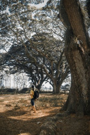 Foto de Un turista estaba caminando en el área de la selva tropical de Djawatan en Banyuwangi, Indonesia. - Imagen libre de derechos