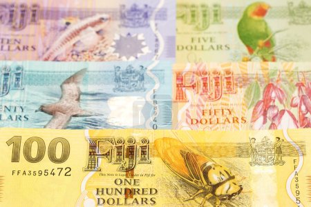 Foto de El dinero fiyiano - el dólar el fondo de negocios - Imagen libre de derechos