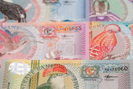 Surinamisches Geld - Gulden als geschäftlicher Hintergrund