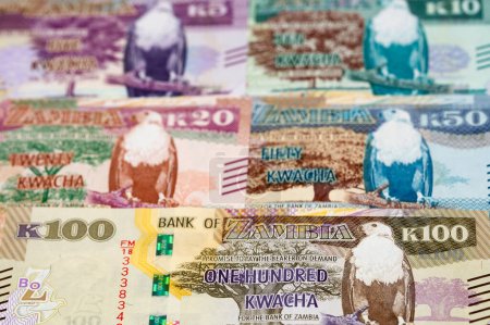 Sambisches Geld - kwacha ein geschäftlicher Hintergrund