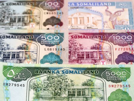 Somaliland money - shilling a business background