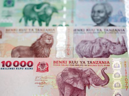 Dinero tanzano - chelín un fondo de negocios
