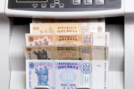 Moldovan money - leu in a counting machine