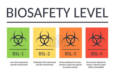 Illustration for Vector banner biosafety levels. Signs BSL-1 BSL-2 BSL-3 BSL-4. Laboratory biohazard symbol. Viruses bacteria bioweapons. From low to high risk of infection. Hazard for laboratory personnel. - Royalty Free Image