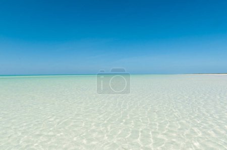Foto de Vista panorámica de una laguna de aguas cristalinas con arena blanca en los trópicos contra el cielo azul en la isla Holbox, México - Imagen libre de derechos