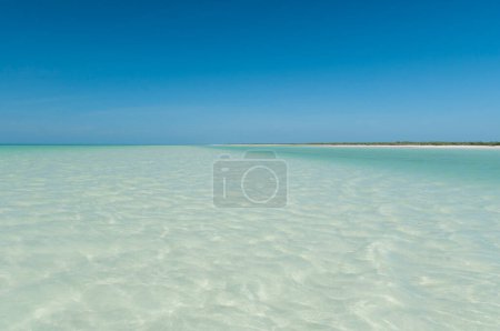 Foto de Vista panorámica ligeramente bordeada de la laguna tropical con agua clara durante la marea baja en la isla Holbox en México - Imagen libre de derechos