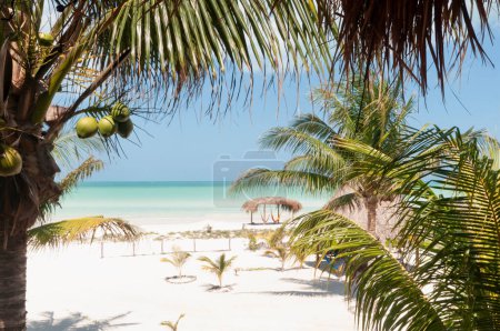 Téléchargez les photos : Vue sur une plage tropicale paradisiaque de sable blanc et mer cristalline avec cabane et hamacs au bord de la mer sur l'île Holbox au Mexique - en image libre de droit