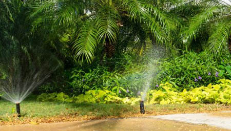 Téléchargez les photos : Système d'irrigation par arrosage d'un jardin tropical au Mexique par une journée ensoleillée - en image libre de droit