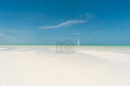 Foto de Catamarán amarrado cerca de una playa en una isla tropical en México. Concepto de viaje exótico - Imagen libre de derechos