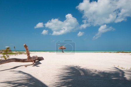 Téléchargez les photos : Vue panoramique d'une plage de sable blanc tropical avec parasol au bord de la mer contre le ciel bleu sur l'île Holbox au Mexique - en image libre de droit