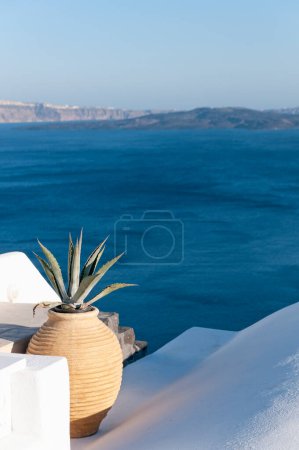 Foto de Bodega en forma de ar con planta de agave en una terraza con una vista panorámica en la caldera de la isla de Santorini en Grecia - Imagen libre de derechos