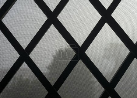 Téléchargez les photos : Détail d'une fenêtre avec moustiquaire et grille de fer, en arrière-plan la vue du matin sur le brouillard dans les arbres un jour d'automne en Italie - en image libre de droit