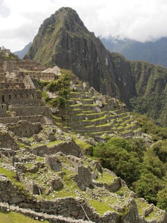 Foto de Algunas de las ruinas de Machu Picchu han sido limpiadas del exceso de crecimiento, pero por lo demás no han sido restauradas. - Imagen libre de derechos